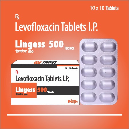 Lingess-500
